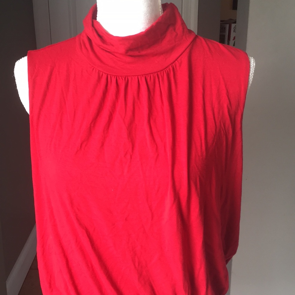 The limited turtleneck shirt